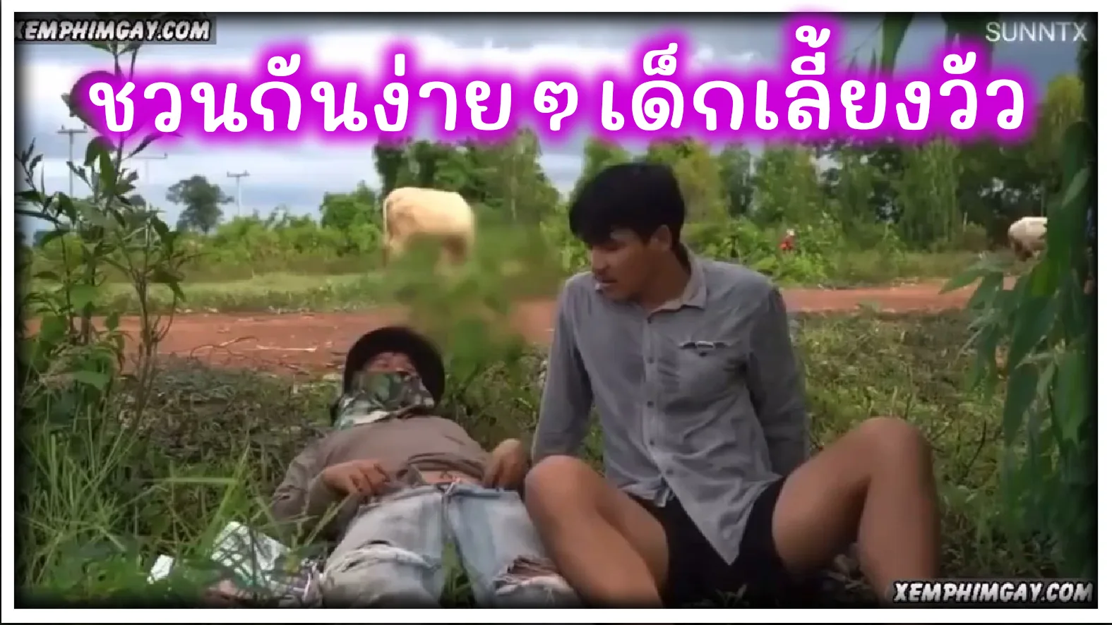 Sunxx Thai Gay
